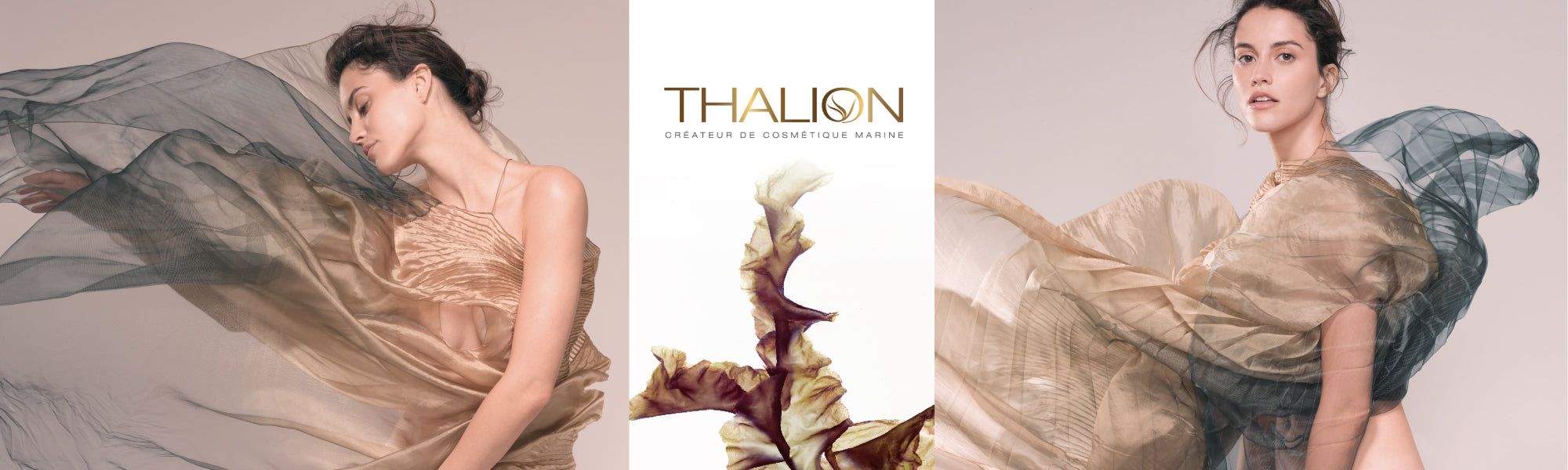 海外ブランド化粧品を取り扱うMIC ONLINE SHOP